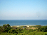 category Image